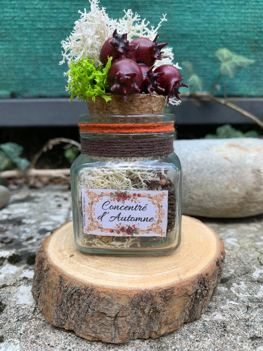 Fiole vibratoire d'Intention - Terra Vibratoire " Concentré d’Automne "/ objet énergétique pour la maison