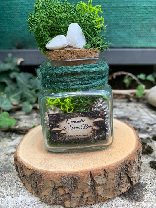 Fiole Vibratoire d'Intention - Terra vibratoire "Concentré de sous Bois"