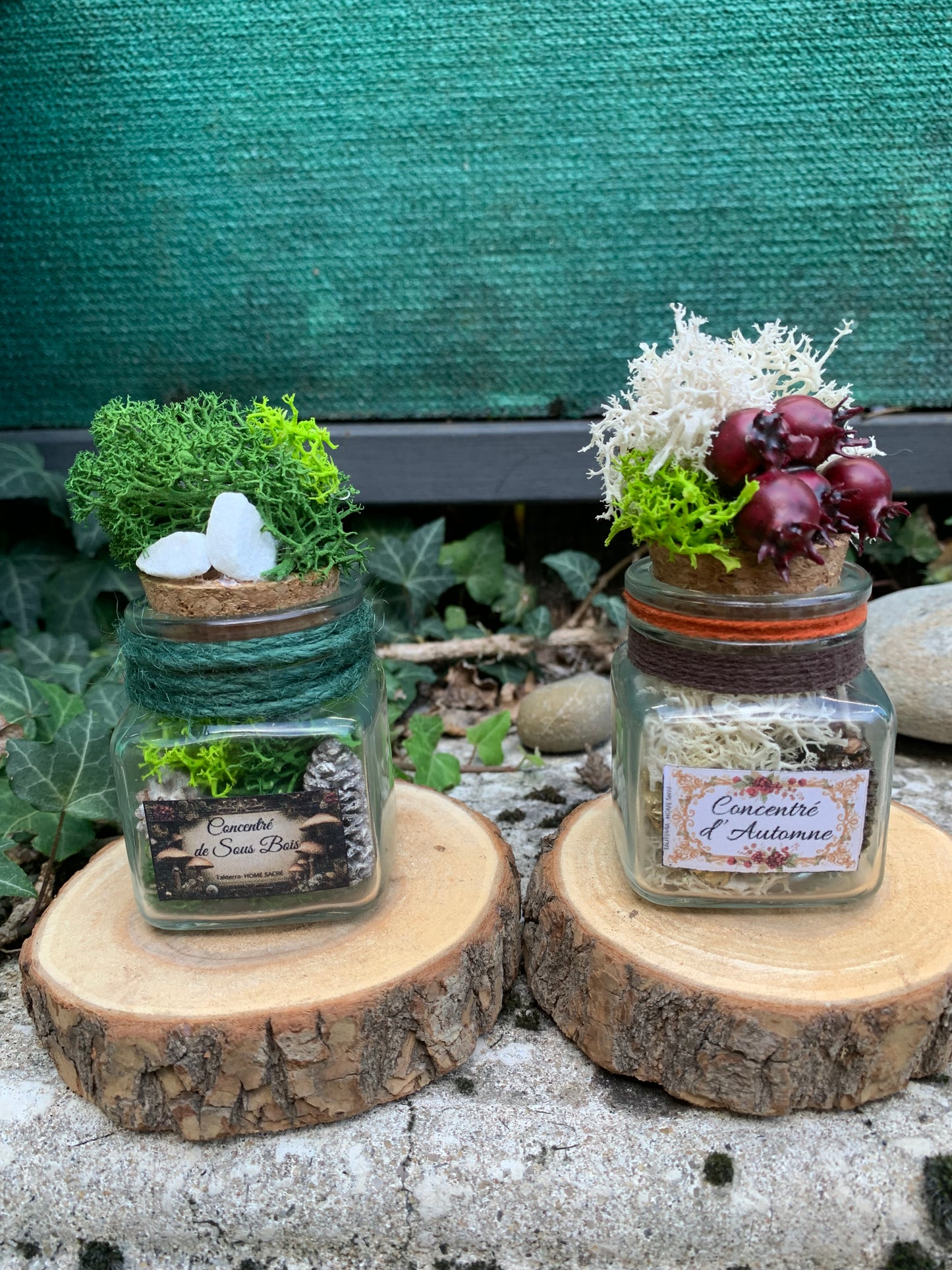 Fiole Vibratoire d'Intention - Terra vibratoire "Concentré de sous Bois"