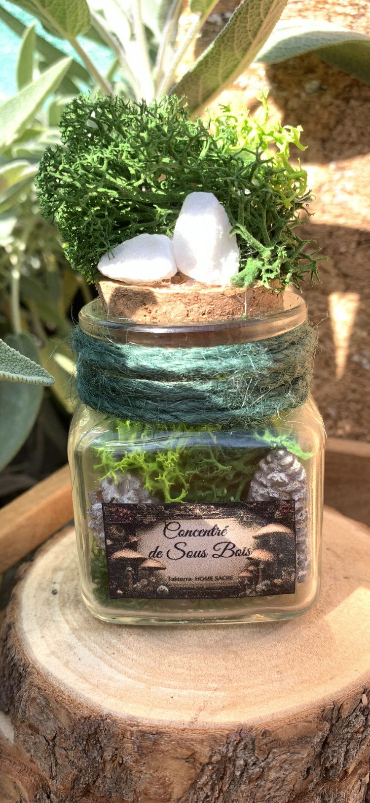 Fiole Vibratoire d'Intention - Terra vibratoire "Concentré de sous Bois"