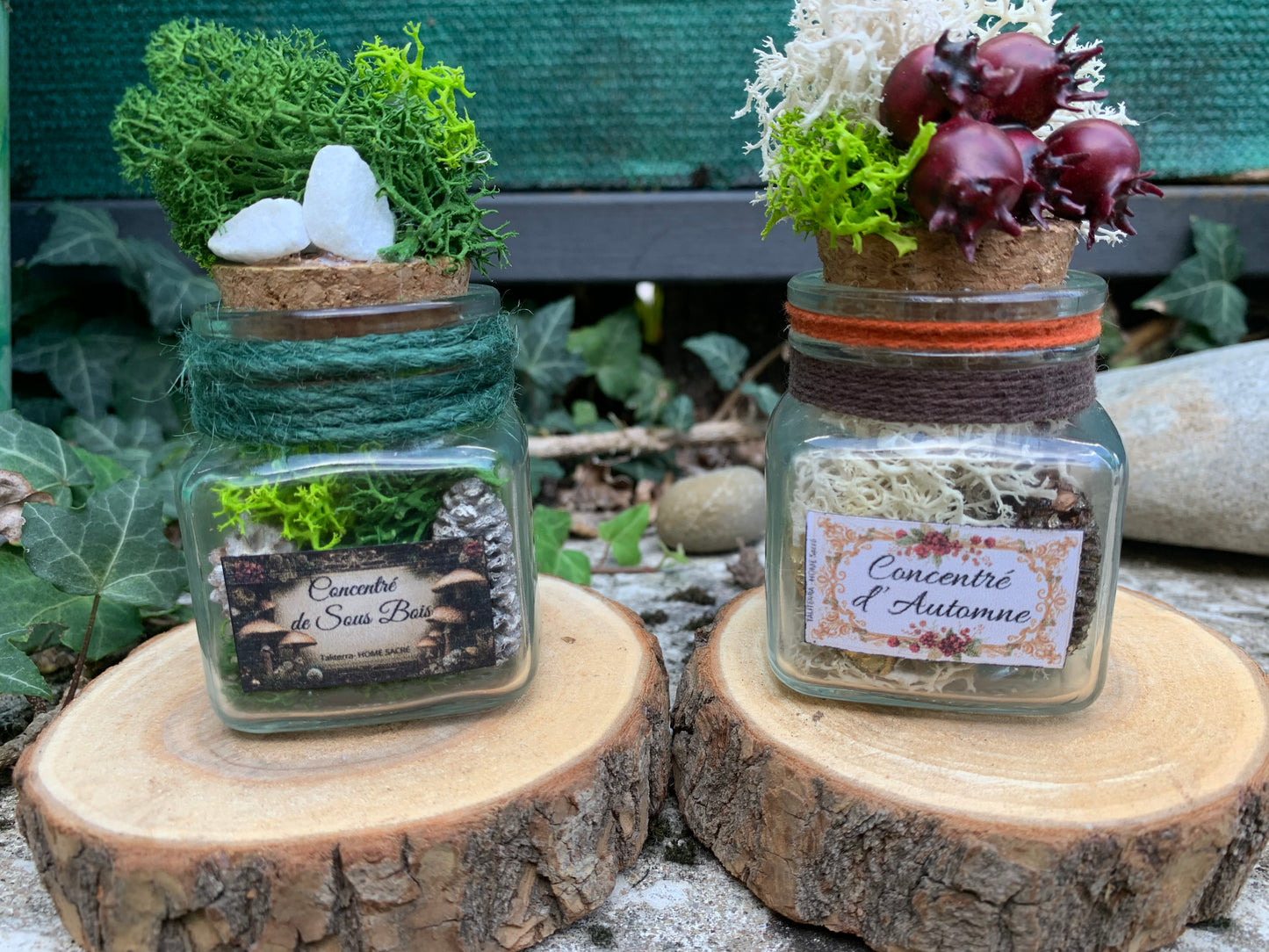 Fiole Vibratoire d'Intention - Terra vibratoire "Concentré de sous Bois"